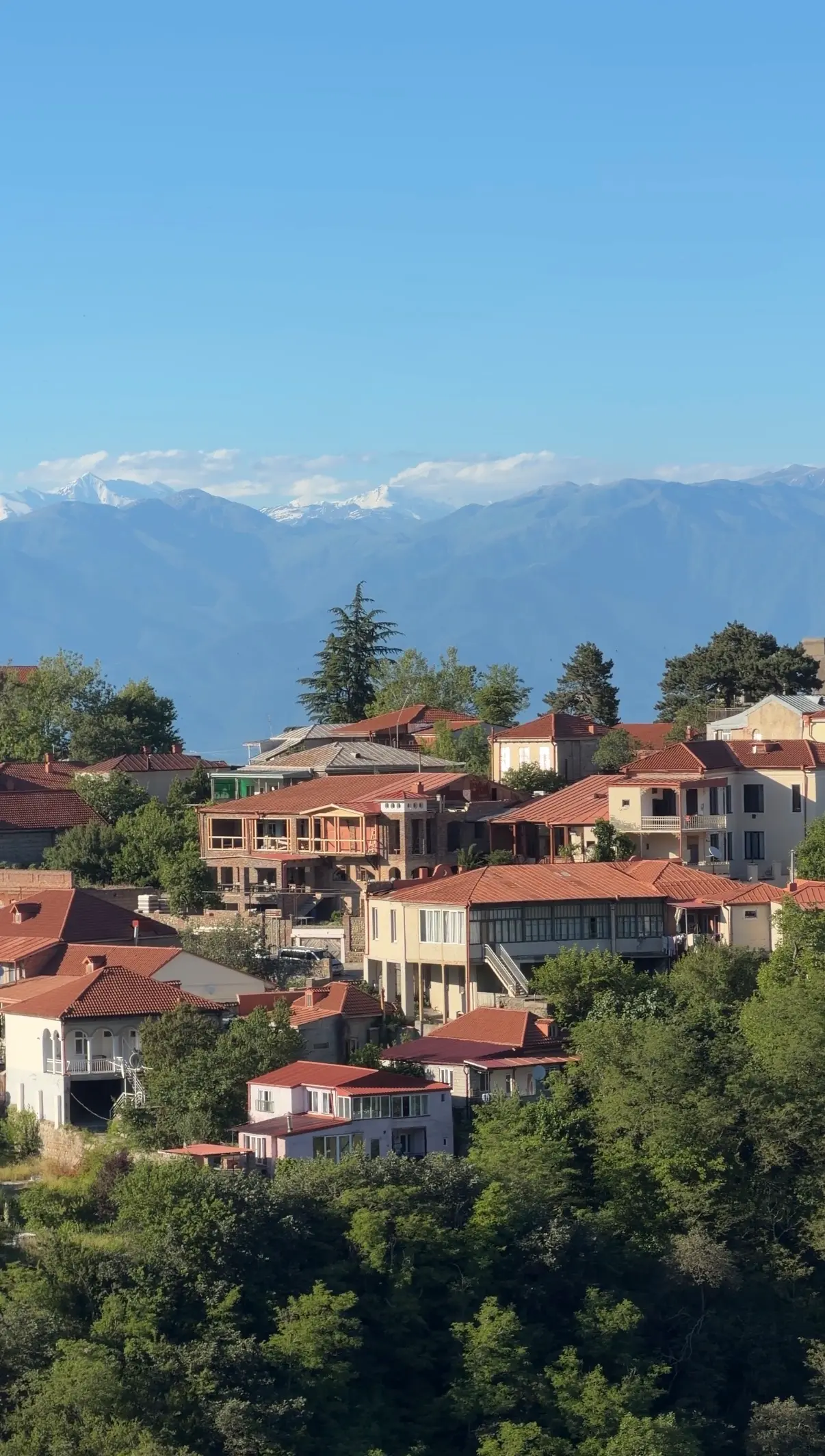 Viewpoint near Sighnaghi