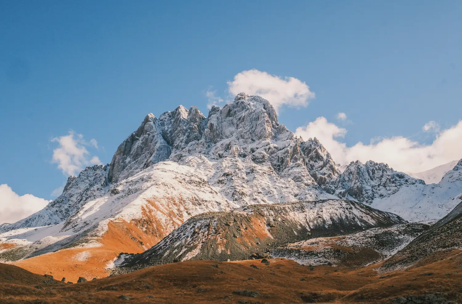 Two horses on a green hillside with yellow wildflowers and snow-dusted Kazbegi mountains under cloudy skies